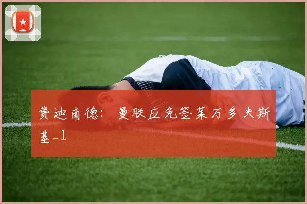 费迪南德：曼联应免签莱万多夫斯基_1